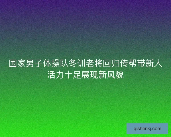 国家男子体操队冬训老将回归传帮带新人活力十足展现新风貌 国家男子体操队冬训老将回归传帮带新人活力十足展现新风貌