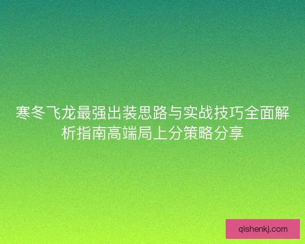 寒冬飞龙最强出装思路与实战技巧全面解析指南高端局上分策略分享