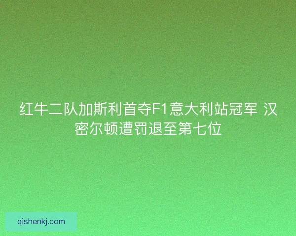红牛二队加斯利首夺F1意大利站冠军 汉密尔顿遭罚退至第七位 红牛二队加斯利首夺F1意大利站冠军 汉密尔顿遭罚退至第七位